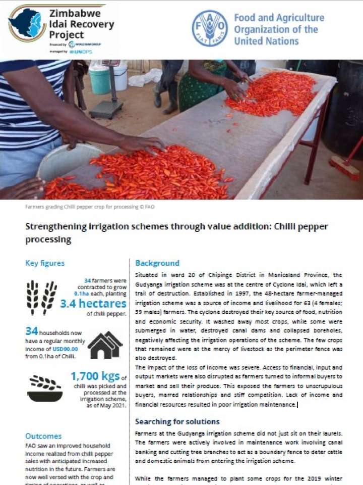 imbabwe Idai Recovery Project: Strengthening irrigation schemes through value addition: Chilli pepper processing