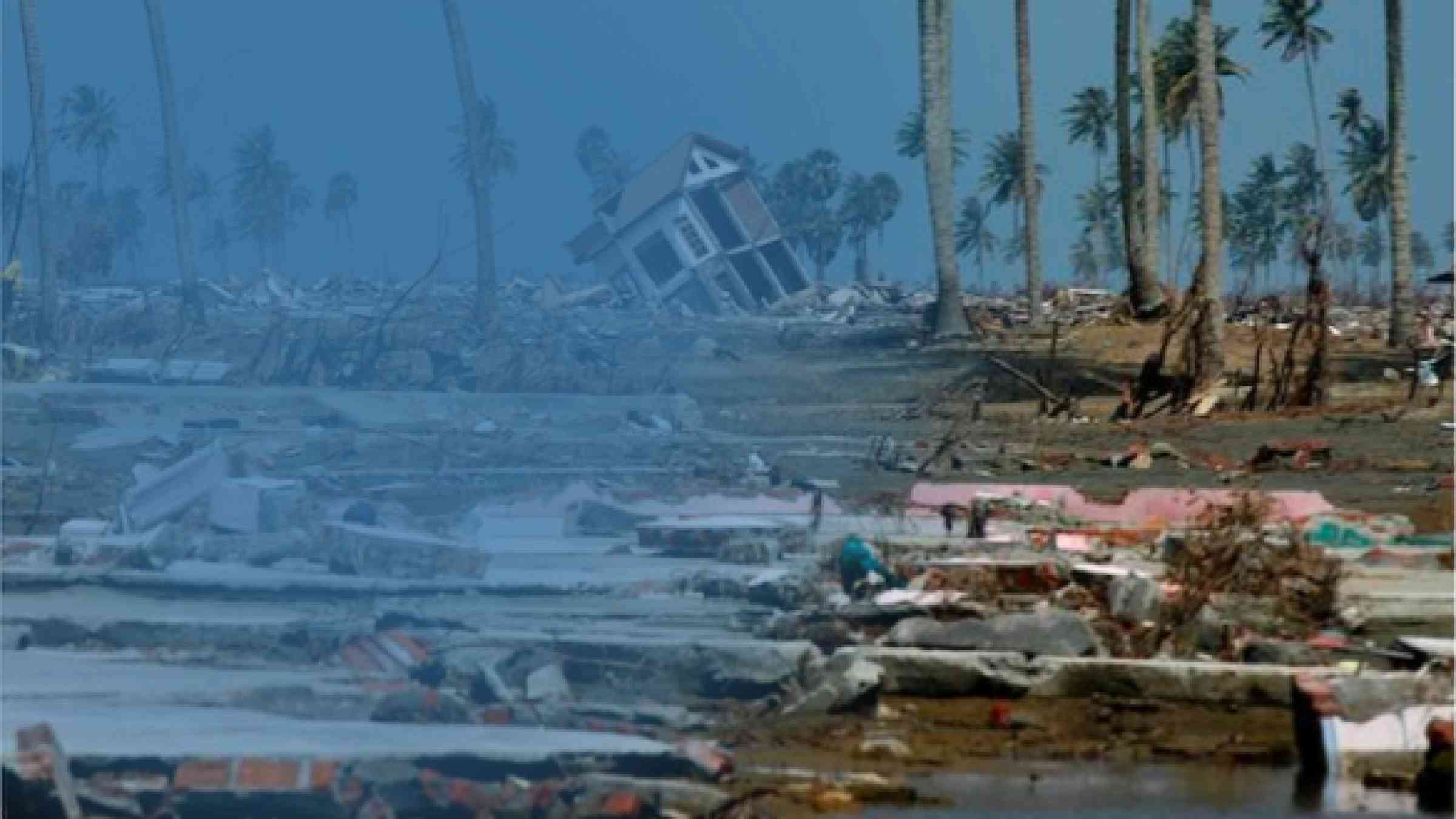 A photo of the Indian ocean tsunami and earthquake 2004 aftermath, showing flat waterlogged land with damaged buildings and a white house tipped over in the distance, palm trees stills tanding