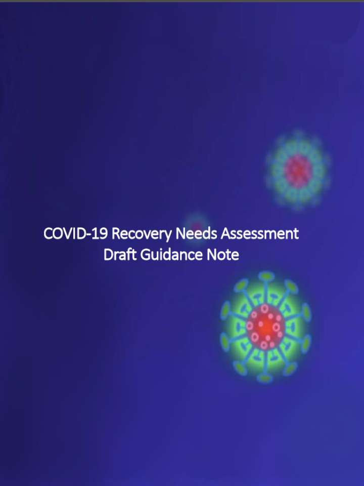 COVID 19 Recovery Needs Assessment Guidance Note