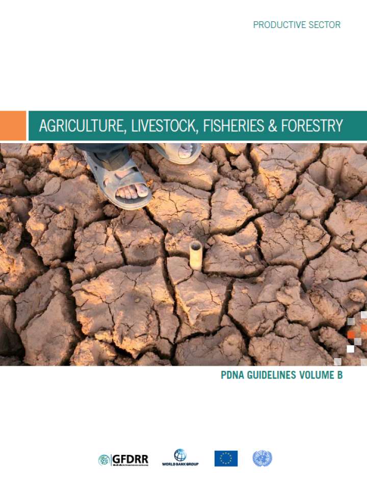 PDNA Guidelines Volume B - Agriculture, Livestock, Fisheries and Forestry