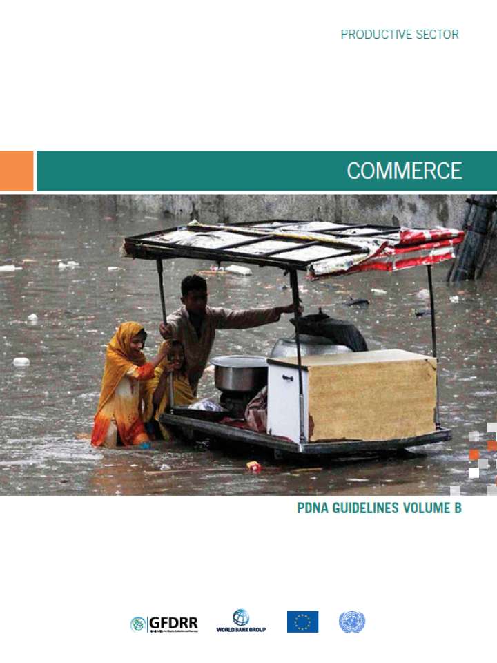 PDNA Guidelines Volume B - Commerce