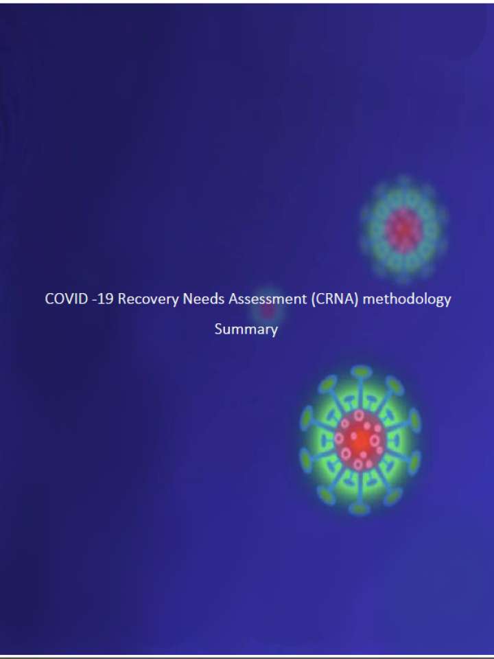 COVID-19 Recovery Needs Assessment (CRNA) methodology Summary