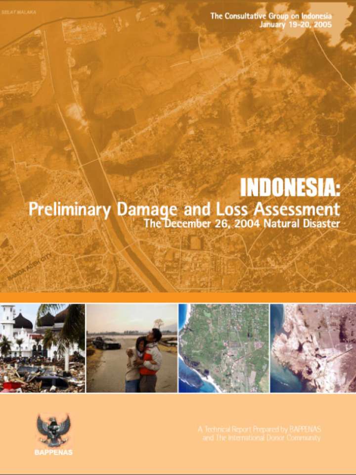 Earthquake and Tsunami 2004 Indonesia Preliminary Damage and Loss Assessment