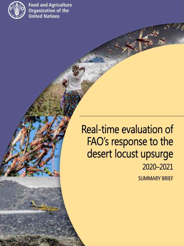 Cover of the summary brief