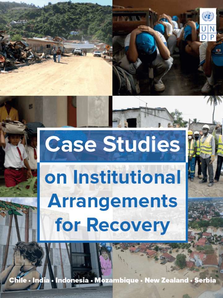 Case Studies on Institutional Arrangements for Recovery