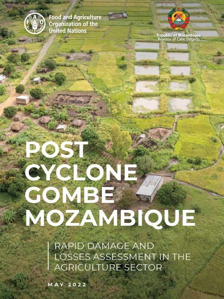 Post Cyclone Gombe Mozambique