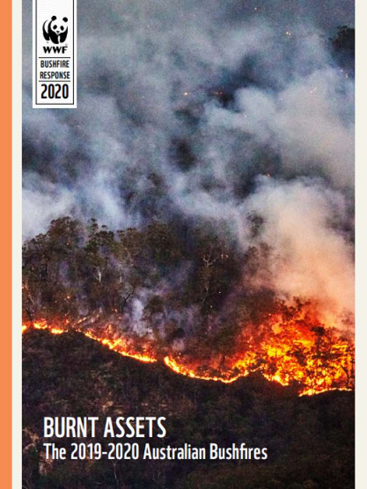BURNT ASSETS The 2019-2020 Australian Bushfires