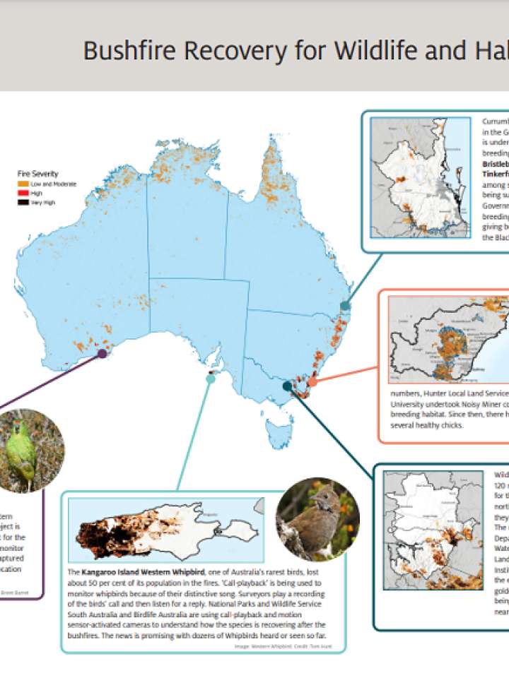 Bushfire Recovery for Wildlife and Habitat