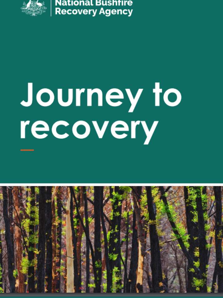 Journey to recovery