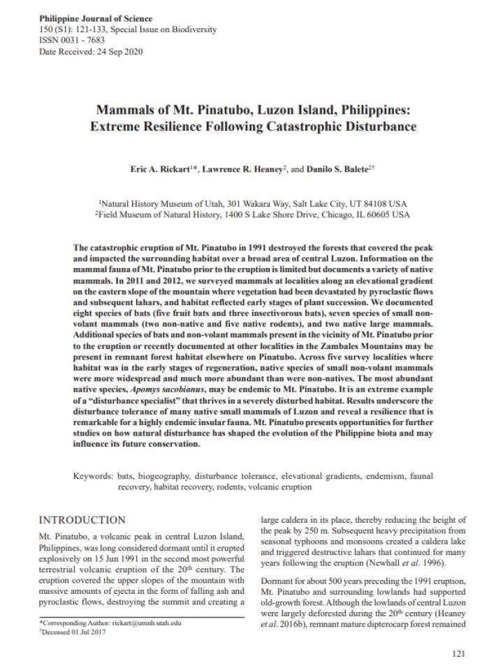 Mammals of Mt. Pinatubo, Luzon Island, Philippines: Extreme Resilience Following Catastrophic Disturbance