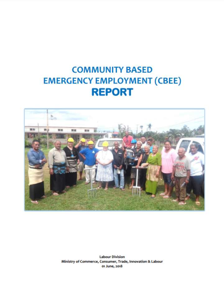 Community Based Emergency Employment (CBEE) Report