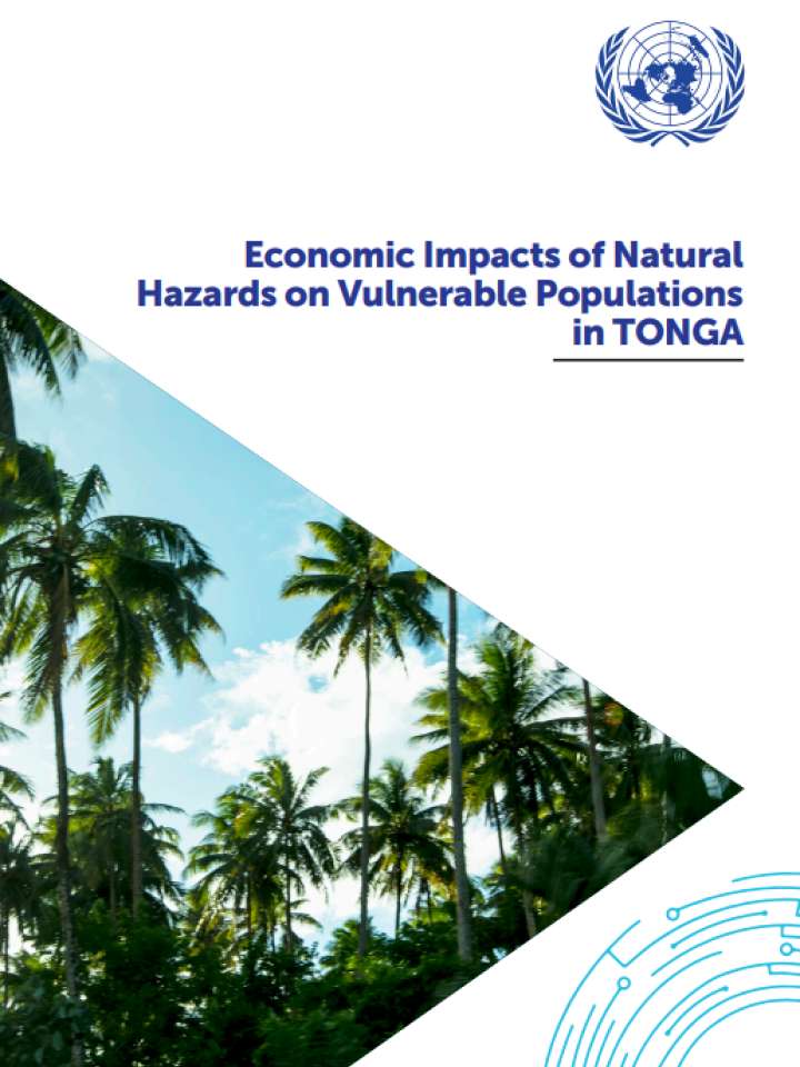 Economic Impacts of Natural Hazards on Vulnerable Populations in TONGA