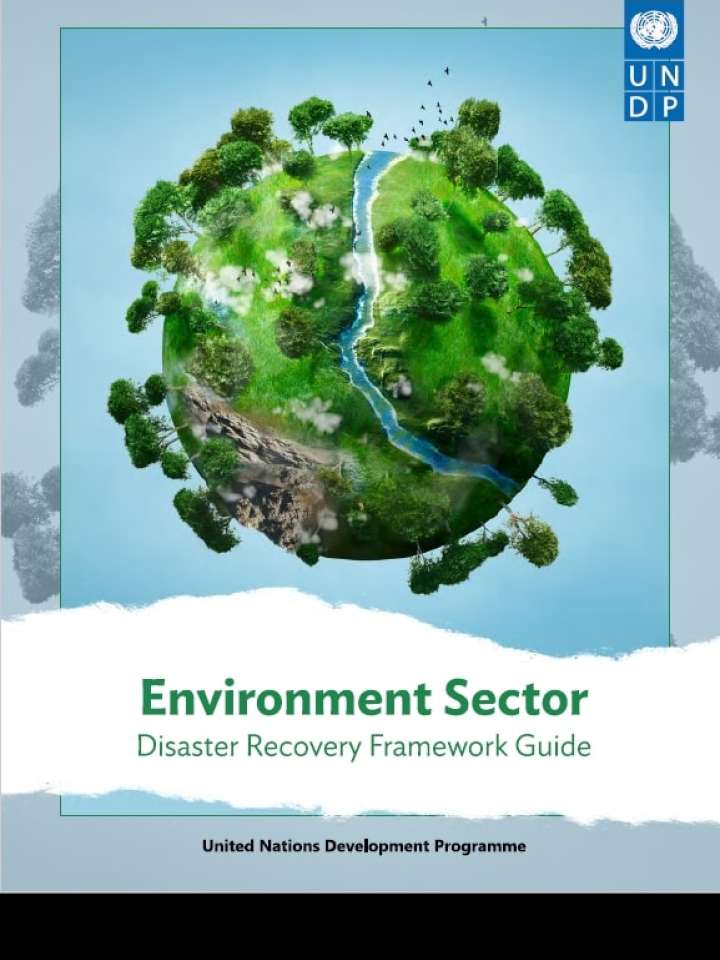 Environment Sector DRF Guide