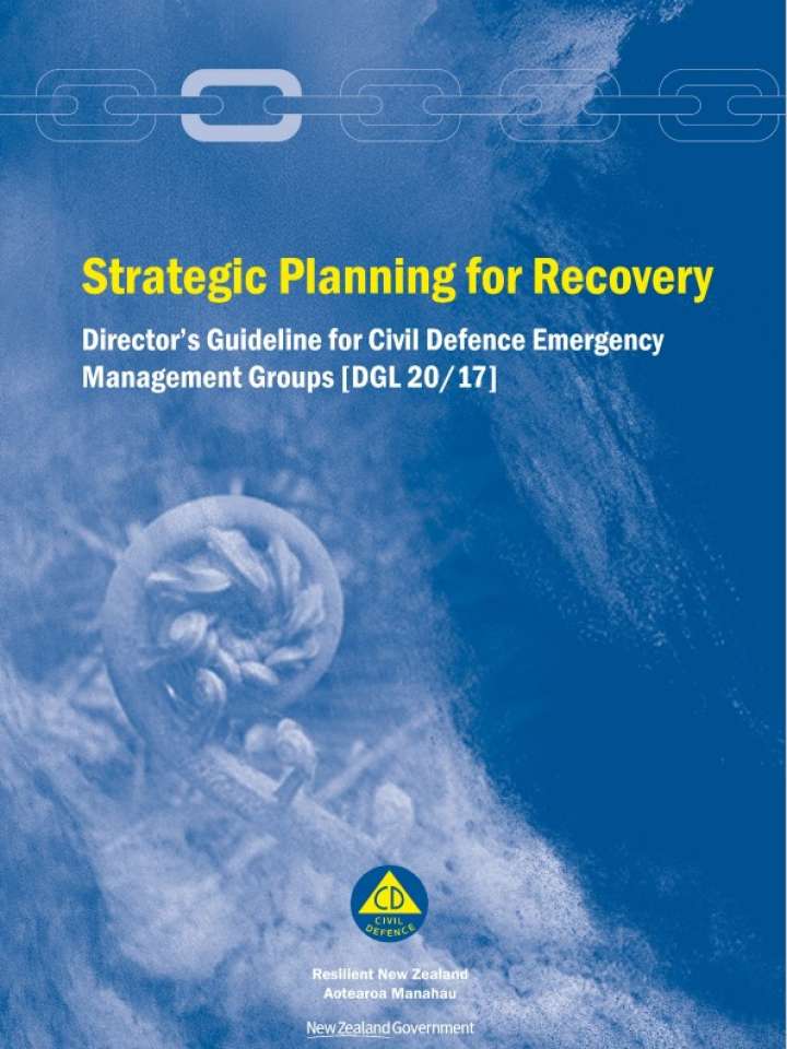 The Strategic Planning for Recovery Director's Guideline