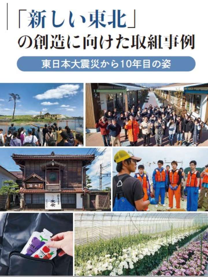 「新しい東北」の創造に向けた取り組み事例～東日本大震災からの１０年目の姿