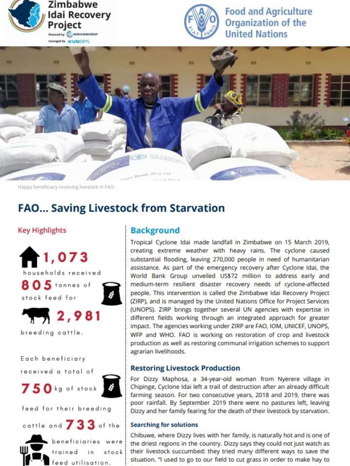 Zimbabwe Idai Recovery Project: FAO... Saving Livestock from Starvation