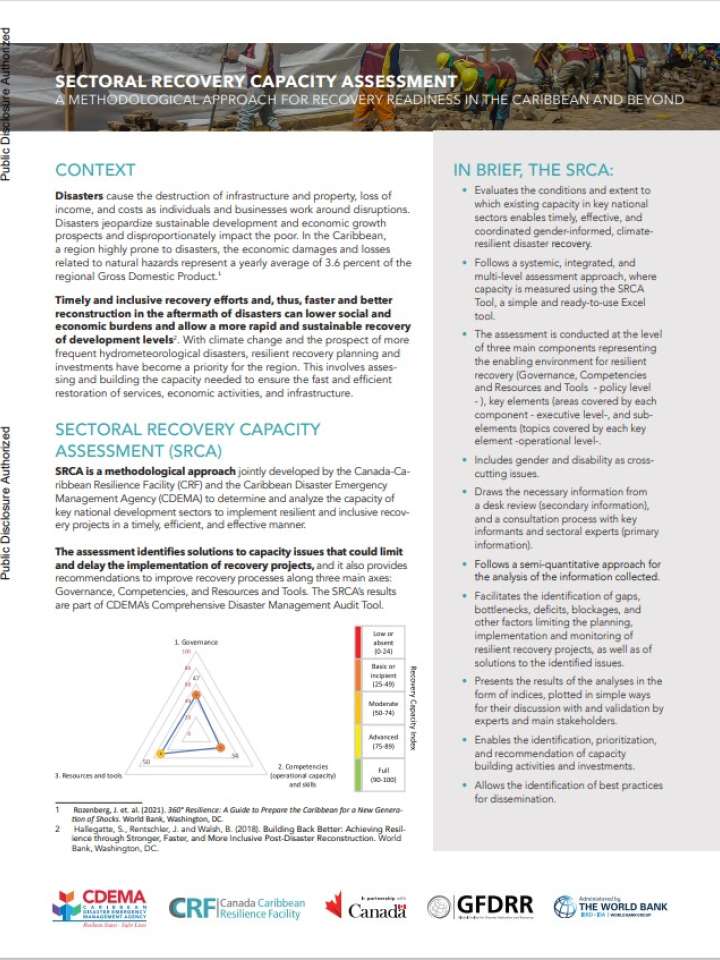 Sectoral recovery capacity assessment