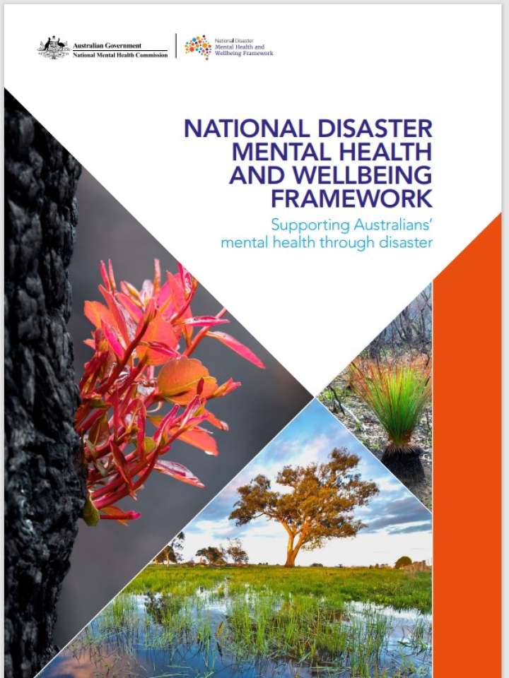 National disaster mental health and wellbeing framework