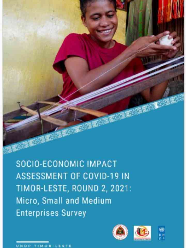 TL-SEIA2-MSME-Survey