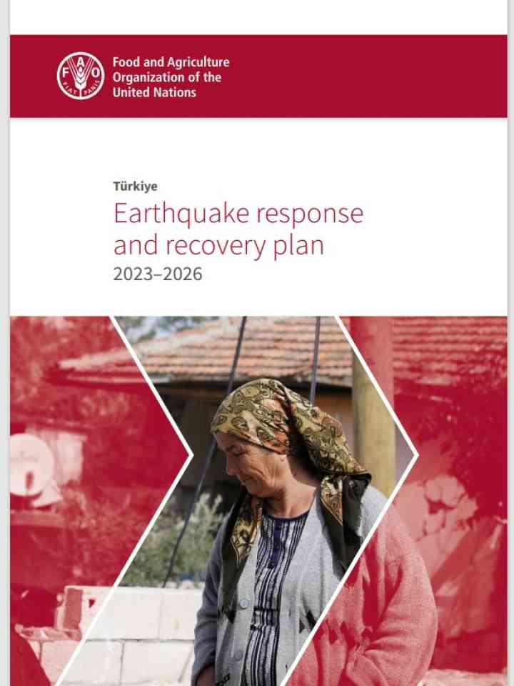 Türkiye: Earthquake response and recovery plan 2023–2026