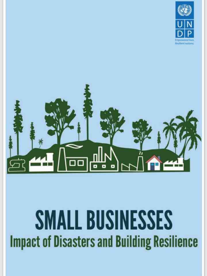 Small Businesses - Impact of Disasters and Building Resilience