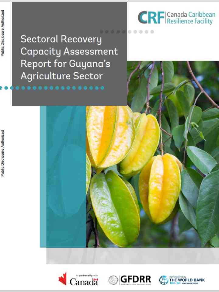 Sectoral Recovery Capacity Assessment Report for Guyana’s Agriculture Sector