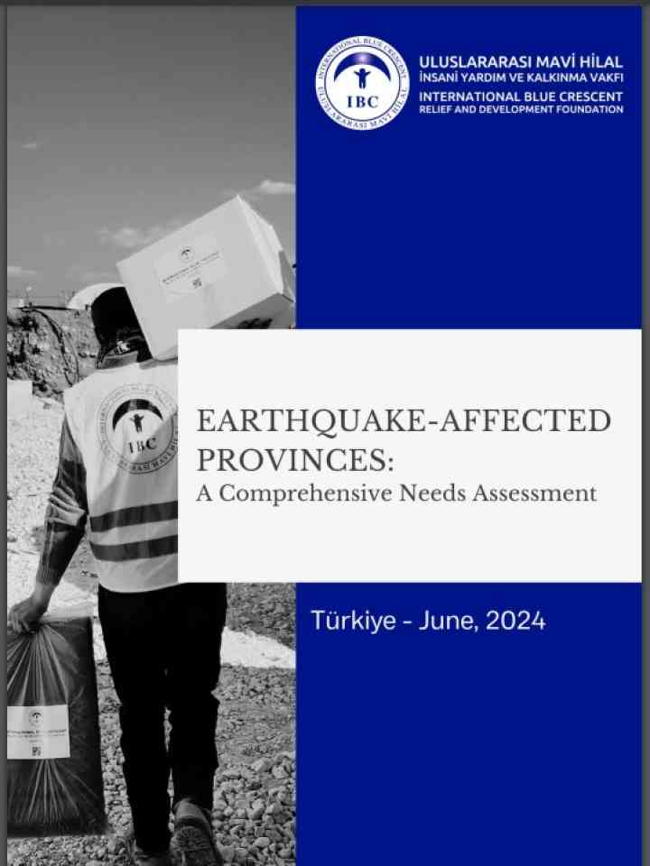 Earthquakes-Affected Provinces: A Comprehensive Needs Assessment - Türkiye (June 2024)