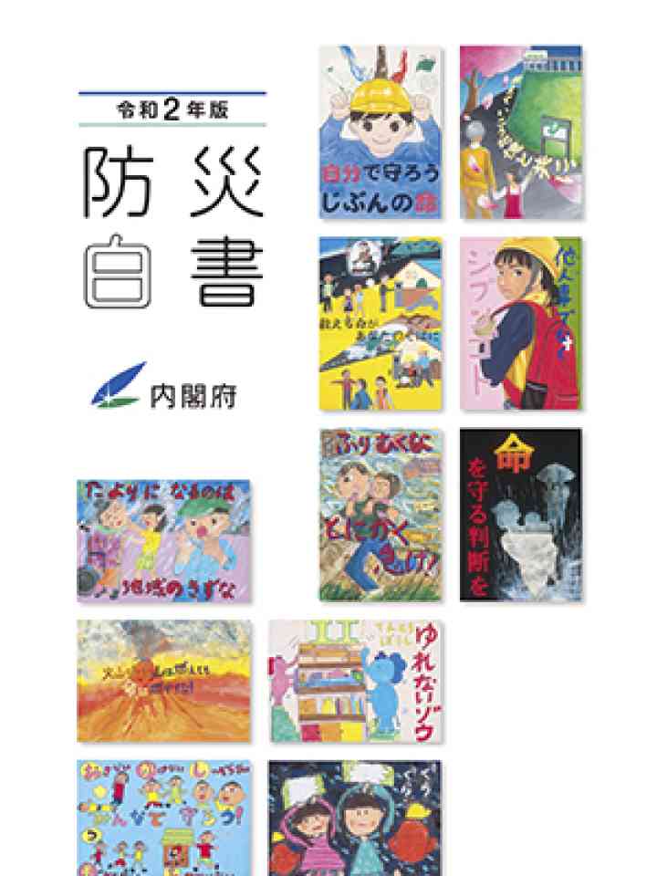 令和2年版 防災白書