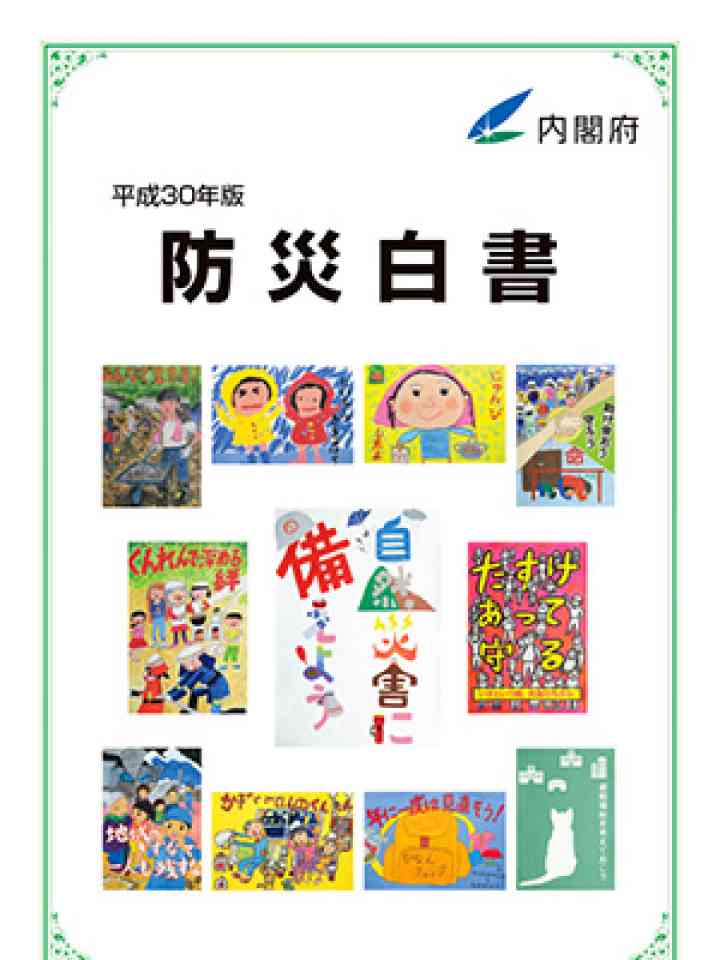 平成30年版 防災白書