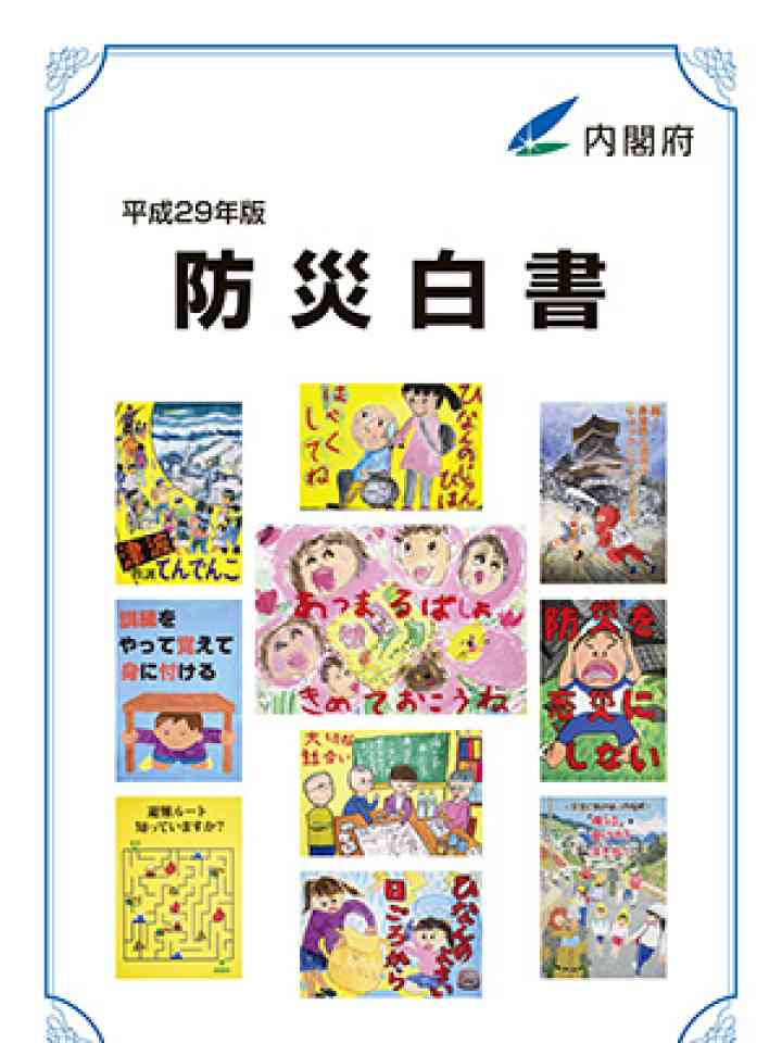 平成29年版 防災白書