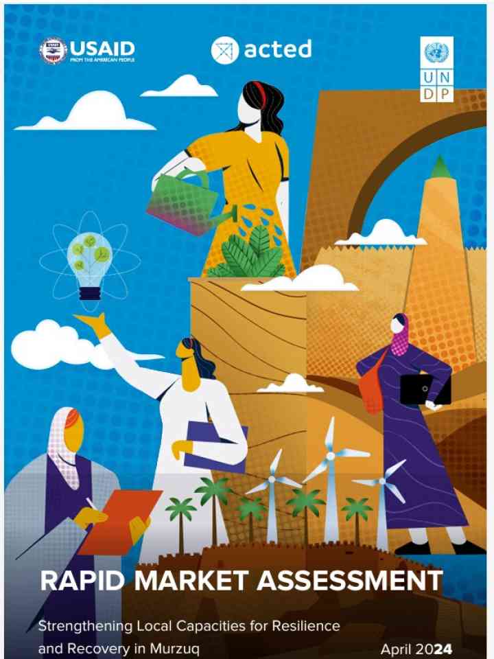 Cover_Acted, UNDP and USAID
