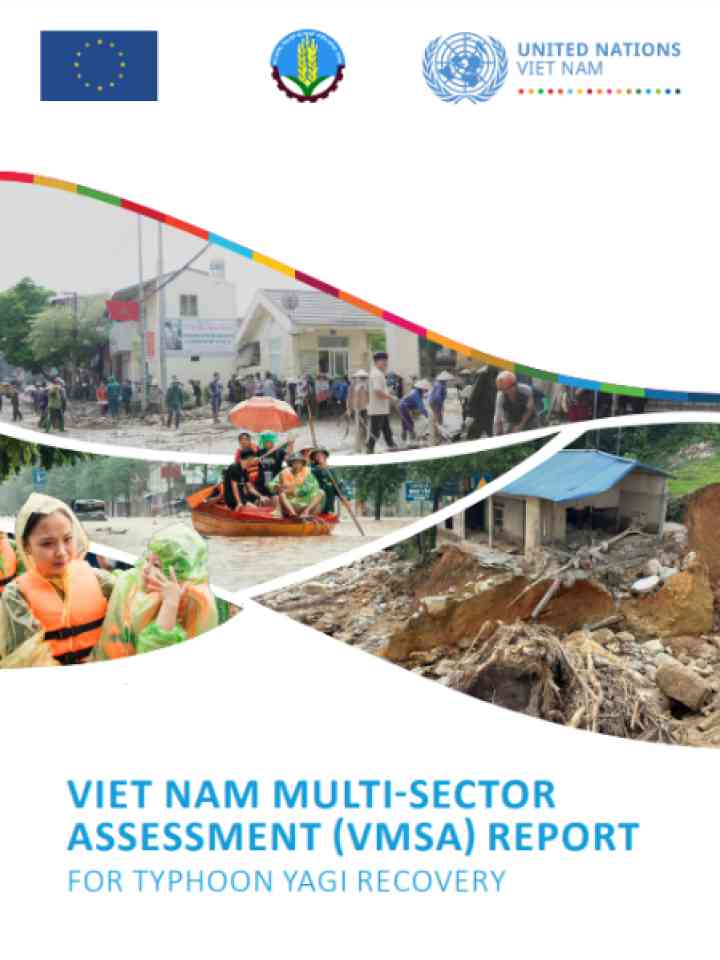 Cover and source: United Nations Development Programme