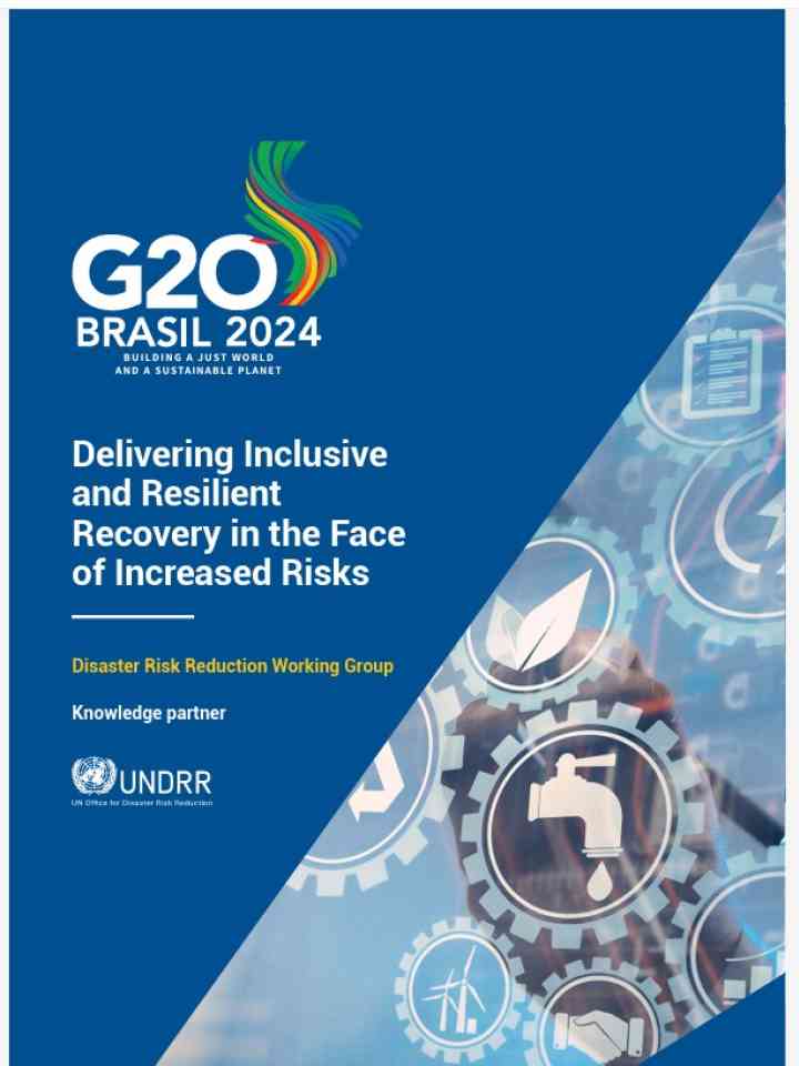 Cover_UNDRR, IRP