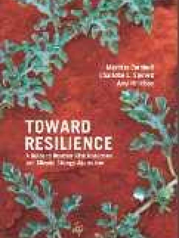 Toward Resilience: A Guide To Disaster Risk Reduction And Climate ...