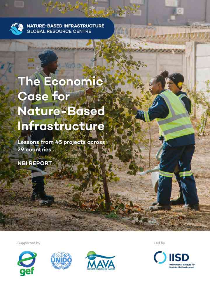 The economic case for nature-based infrastructure thumbnail