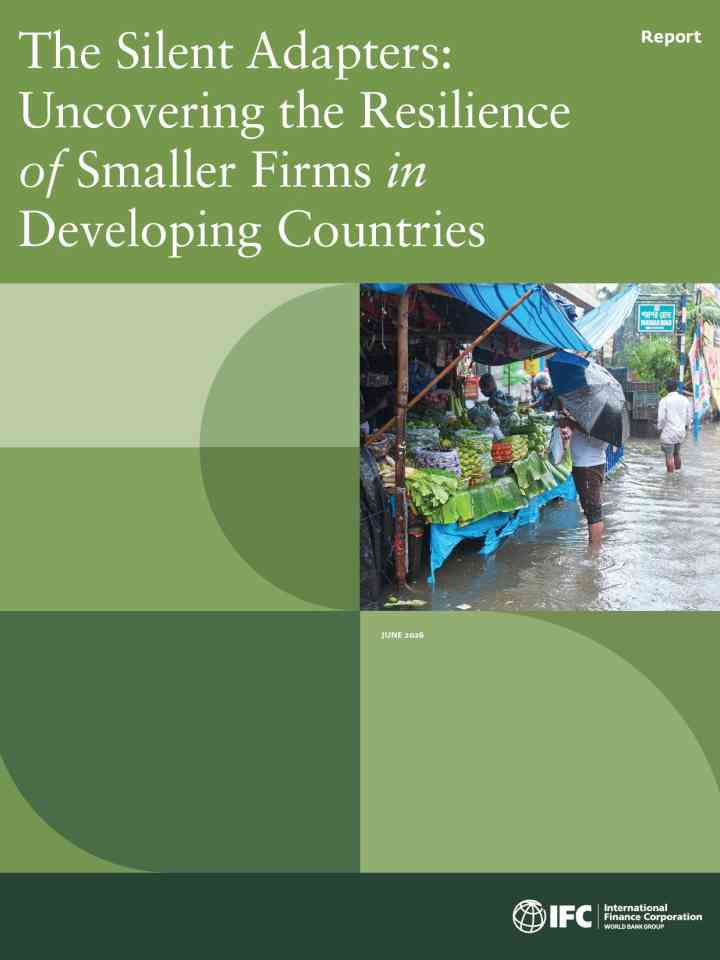 The silent adapters: Uncovering the resilience of smaller firms in developing countries thumbnail