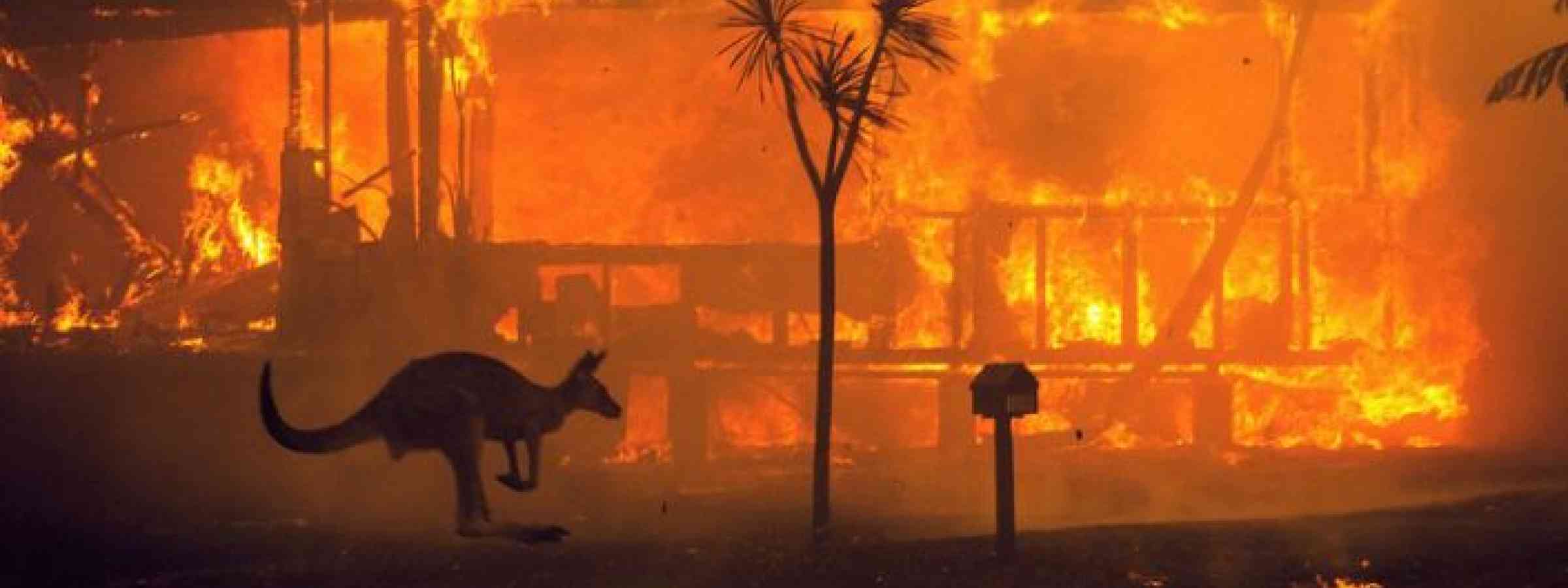 The 2019-20 Australian Bushfires revealed vast inequalities in the losses experienced by residents.